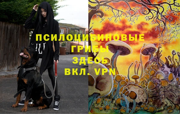 бутик Горнозаводск