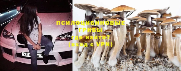 не бодяженный Горняк