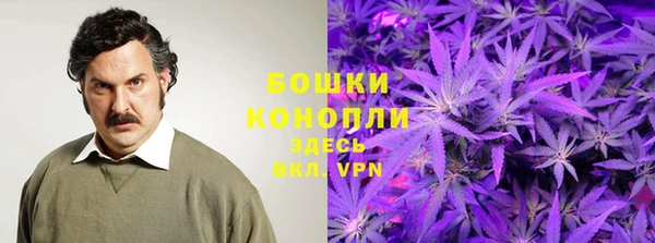 прущий лед Краснослободск
